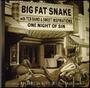 Big Fat Snake - One Night Of Sin